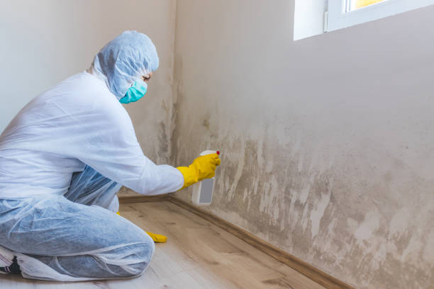 Mold Remediation specialist working in La Salle